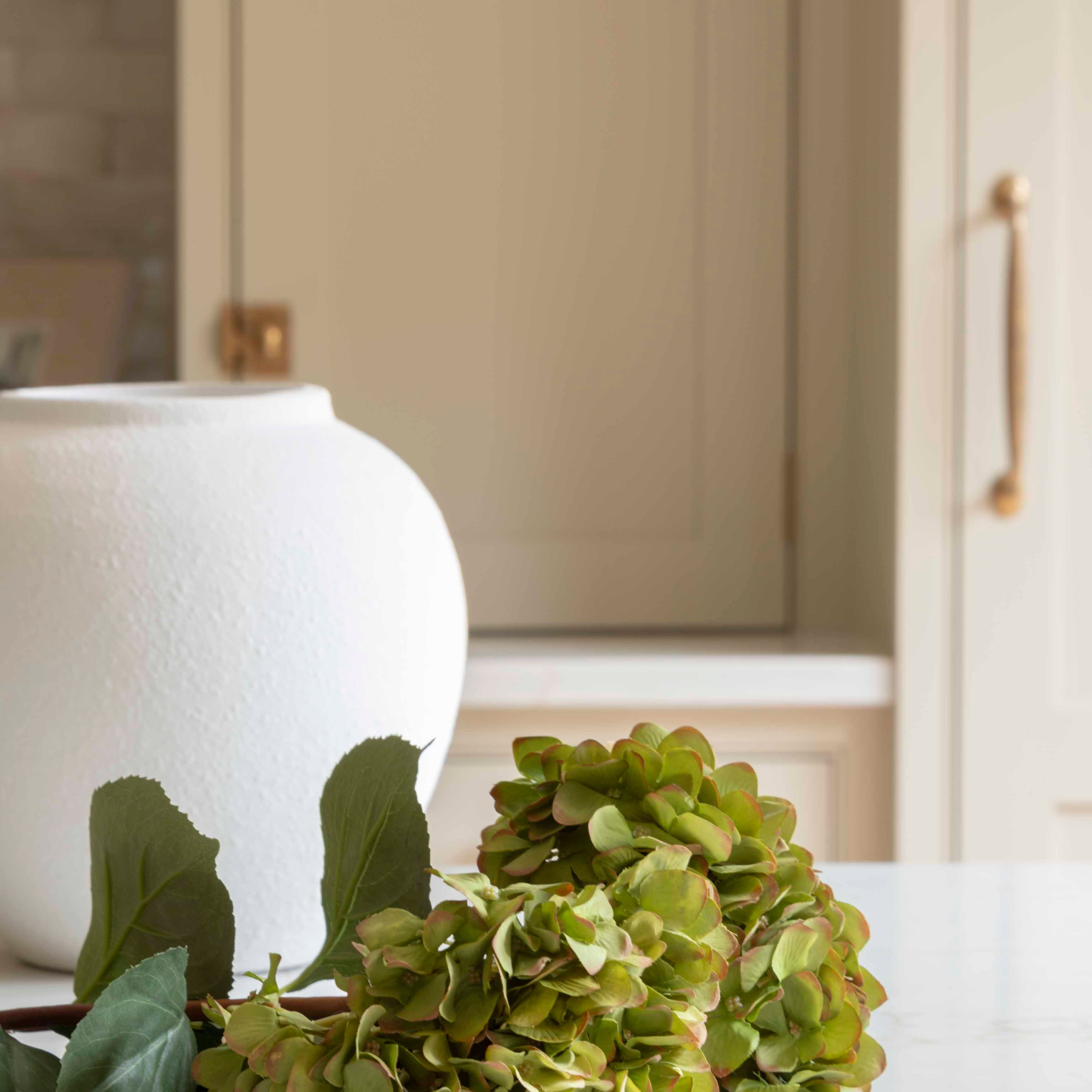 A stunning Hydrangea stem in warm green.