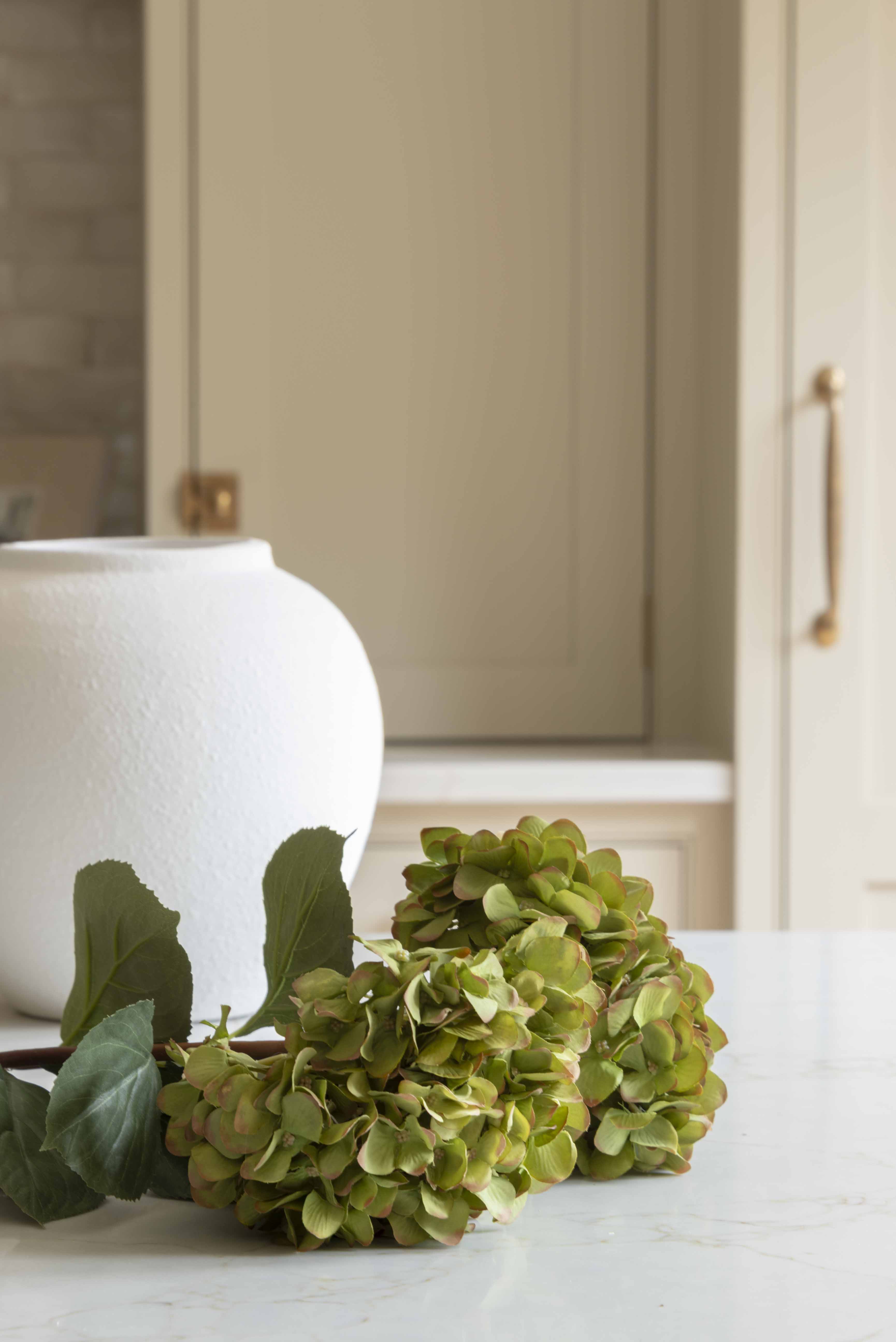 A stunning Hydrangea stem in warm green.