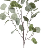 Faux green stem of eucalyptus