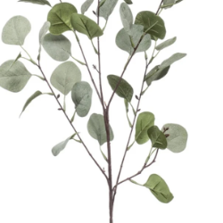 Faux green stem of eucalyptus