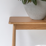 Wooden side table with a plant pot on a white background