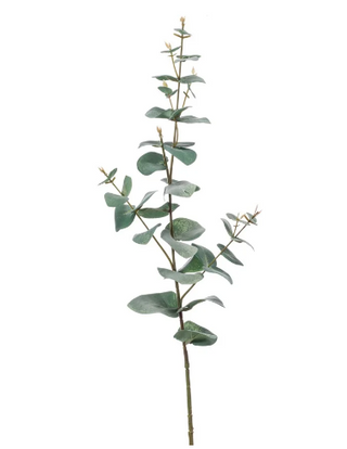 CharlesTed Home Eucalyptus Stem | Single Stem