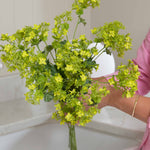 Faux Lady's Mantle Spray | Green