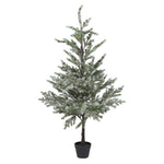 Faux Noble Pine Tree | 157cm