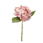 Introducing our exquisite Faux Pink Hydrangea Stem, a luxurious addition to any decor. Enhance your space with the sophisticated charm of this beautifully crafted floral piece.

Dimensions:&nbsp;

Height: 47cm