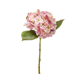 Introducing our exquisite Faux Pink Hydrangea Stem, a luxurious addition to any decor. Enhance your space with the sophisticated charm of this beautifully crafted floral piece.

Dimensions:&nbsp;

Height: 47cm