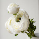 Close-up of a faux real touch white ranunculus bloom with layered petals and green centre