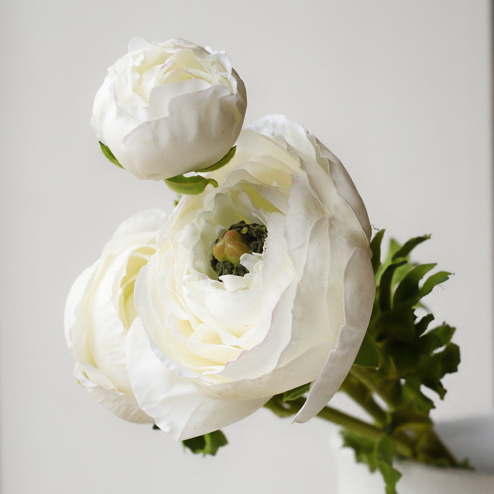 Close-up of a faux real touch white ranunculus bloom with layered petals and green centre