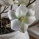Faux magnolia arrangement 