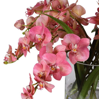 Side profile of the faux pink Phalaenopsis arrangement, showing the natural cascading curve of the flowering spikes and strap-like green leaves