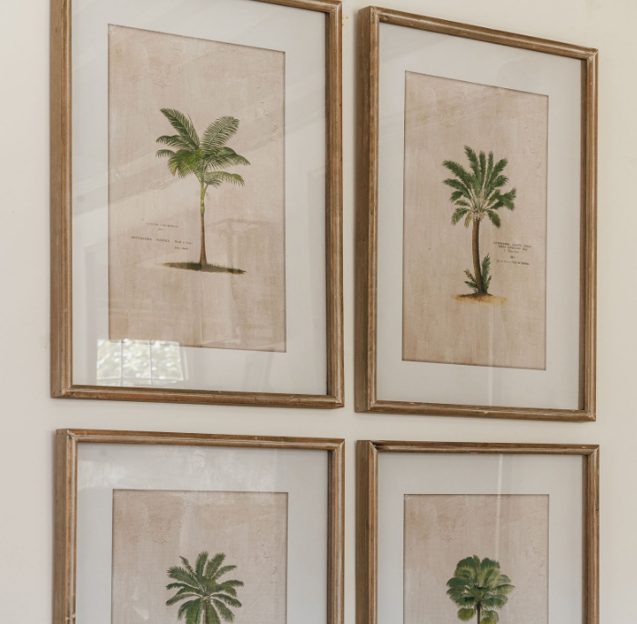 Set of four tropical tree illustration prints in frames