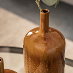 Brown ceramic vase with a plant on a reflective surface
