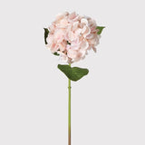 Charles Ted Real Touch Hydrangea Blush Pink