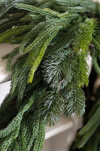 Close detail of the real touch fir, cypress and pine sprigs