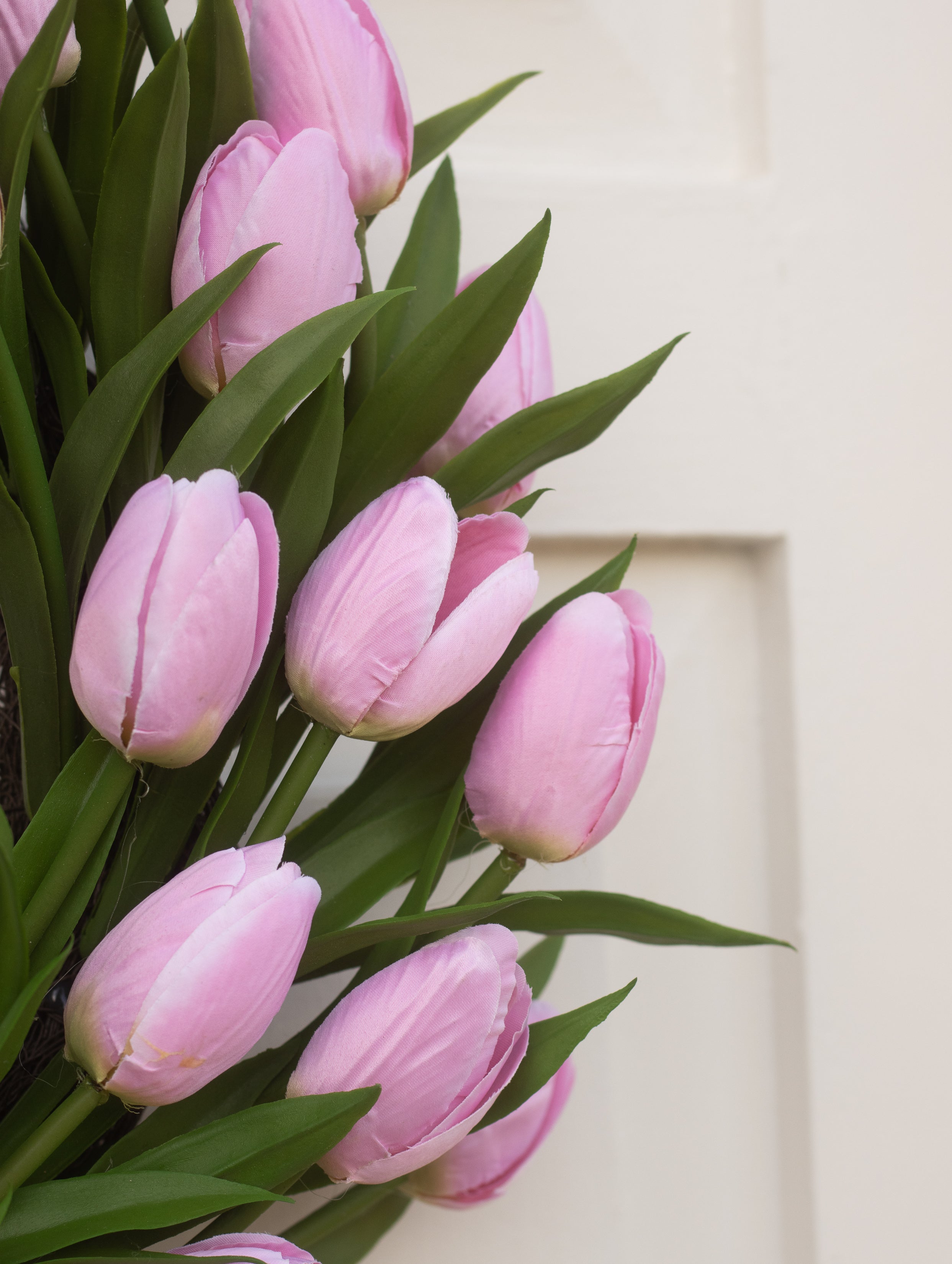 Pink tulips against a white door background