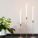 Ivory dinner candles set of 6 styled in elegant candle holders