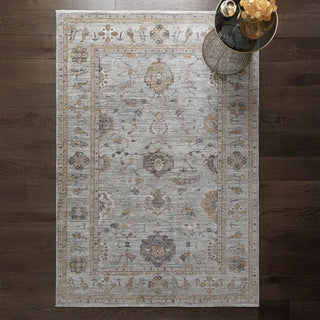 Jasper traditional rug in blue styled in a room setting
