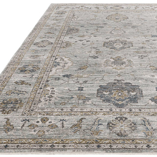 Jasper traditional rug in blue, detail of the antique-inspired pattern