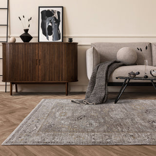 Jasper traditional rug in grey styled in a living room