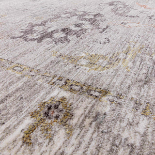 Jasper traditional rug in grey, detail of the antique-inspired pattern