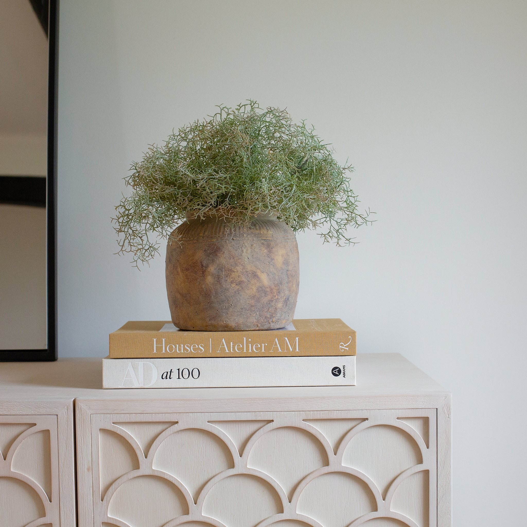 A beautiful bunch of three Spanish moss bush stems