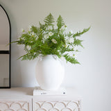 Charles Ted Asparagus Fern Stem