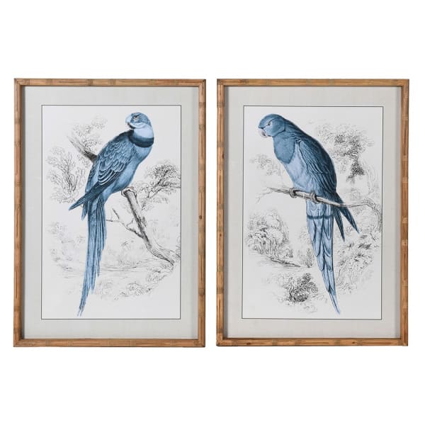 Two framed prints of blue parrots on a white background
