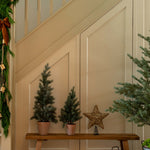 Decorative setup with Christmas trees, a star, and gift boxes in a home interior.