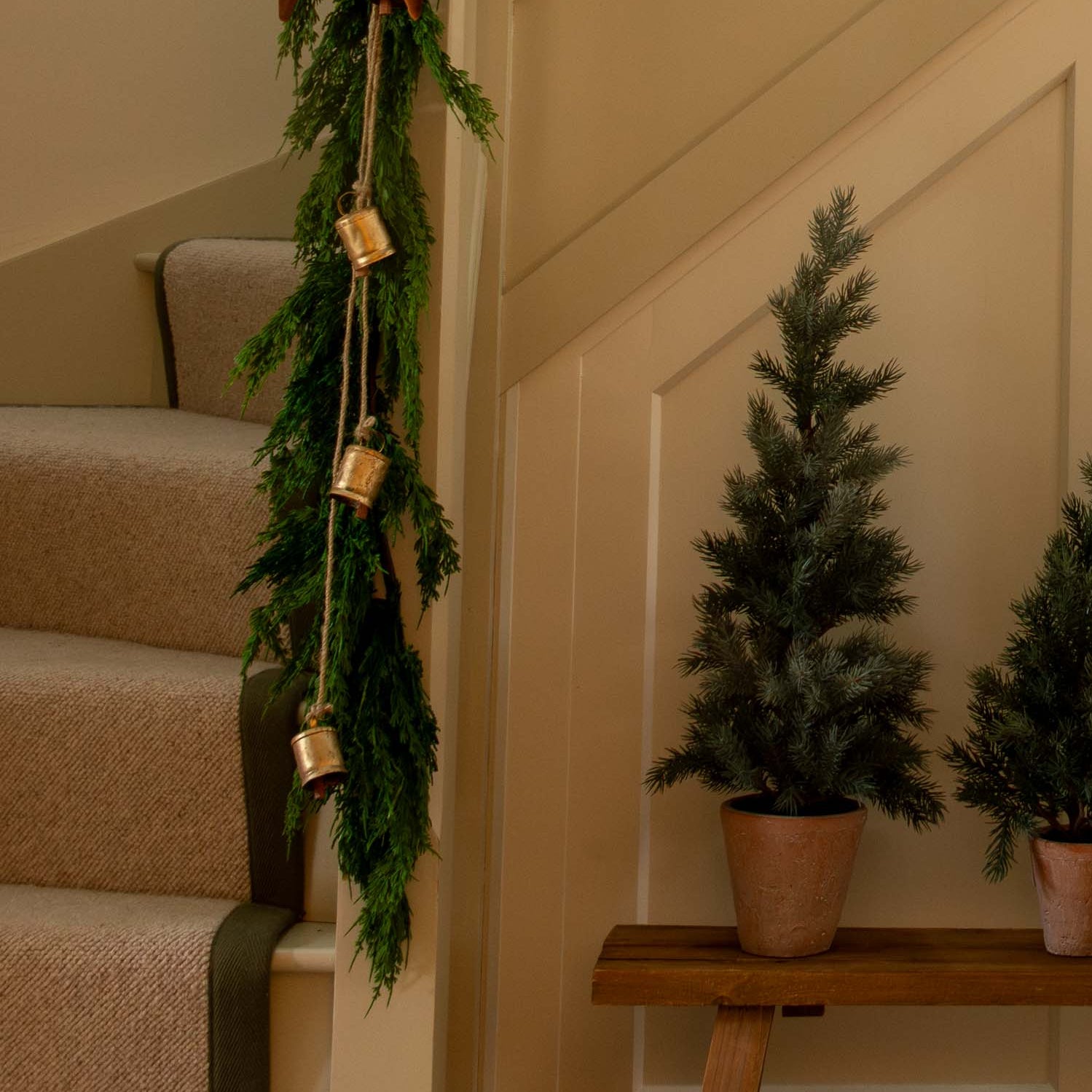 Pine Tree in Terracotta Pot | 1.5ft