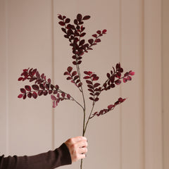 Plum Eucalyptus Stem