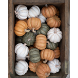 Decorative fall pumpkins in assorted colours