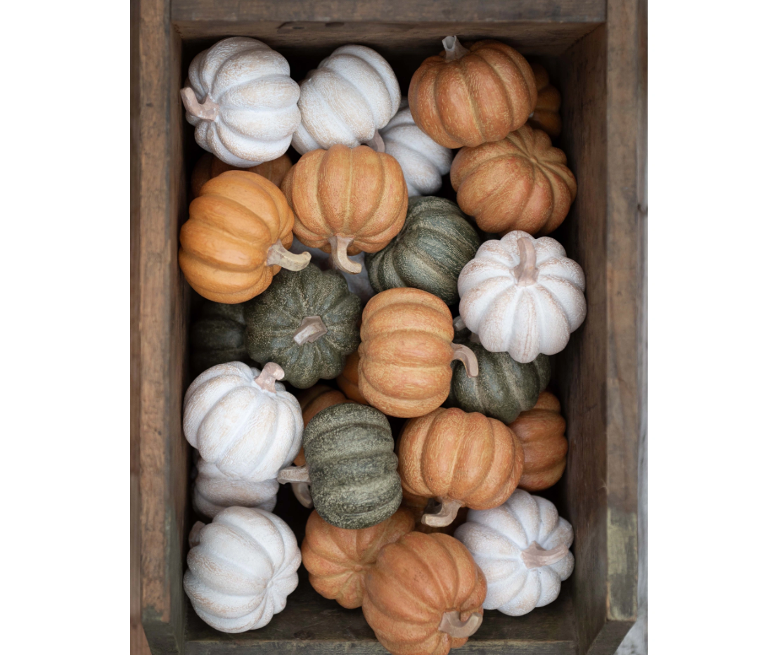 Decorative fall pumpkins in assorted colours