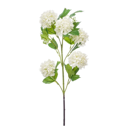 Pom Pom White Viburnum Stem 
