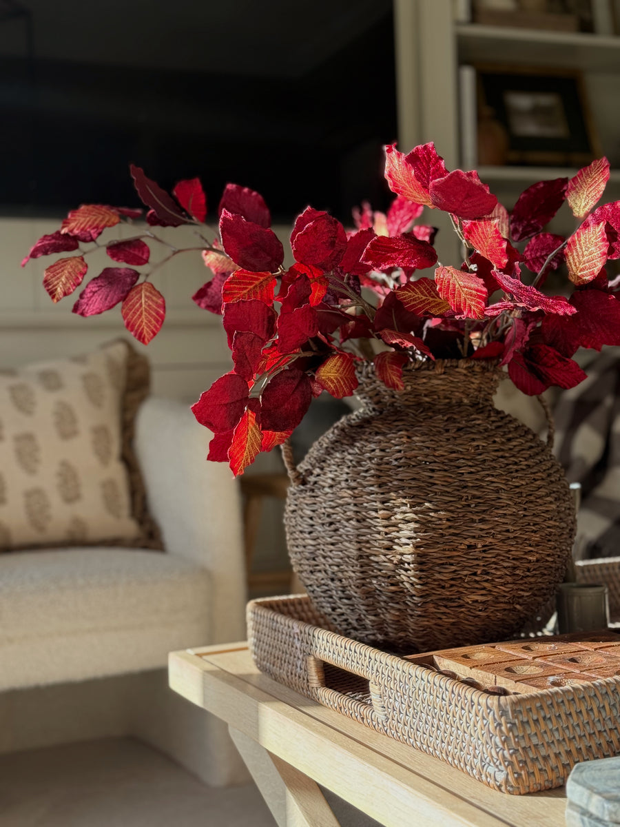 Velvet Copper Beech Stem