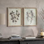 Rustic Botanical Wall Art Set of Two framed nature prints on wall
