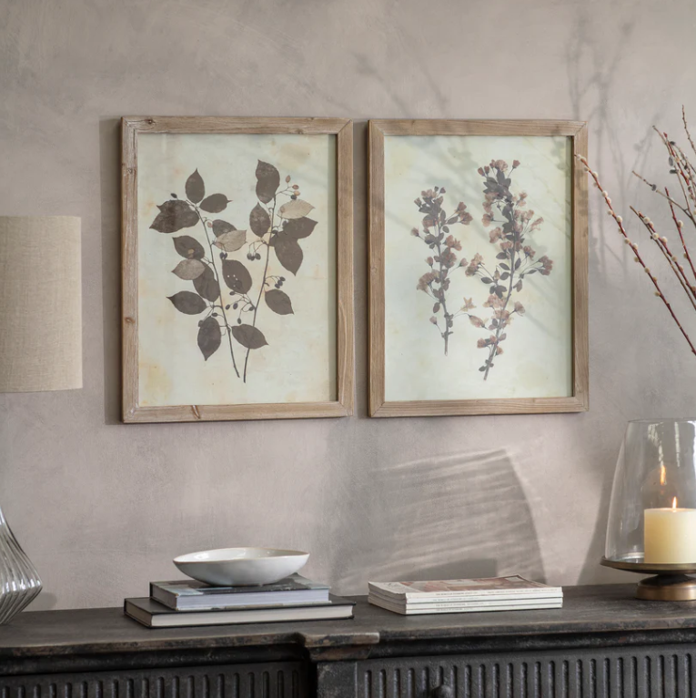 Rustic Botanical Wall Art Set of Two framed nature prints on wall