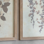 Close-up of framed botanical artwork with natural wood frame details