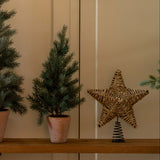 Decorative setup with Christmas trees, a star, and gift boxes in a home interior.