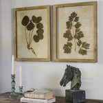 A set of two beautiful leaf prints in a fir wood frame.