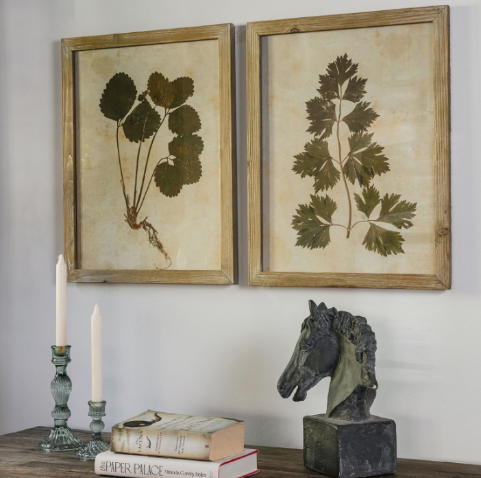 A set of two beautiful leaf prints in a fir wood frame.