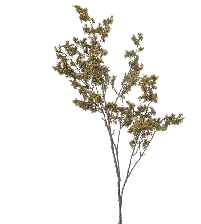 Moss Branch CharlesTed Home