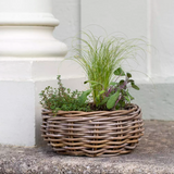 Charles Ted Indra Rattan Basket Planter