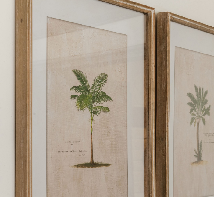 Set of four tropical tree illustration prints in frames close up