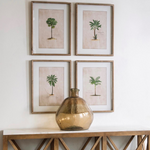 Set of four tropical tree illustration prints in frames