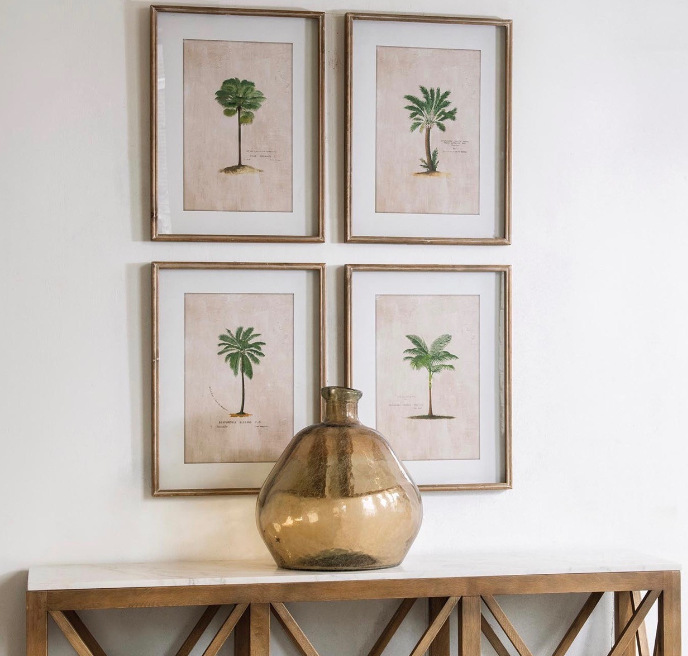Set of four tropical tree illustration prints in frames