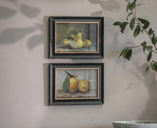 Set of two framed vintage lemon prints in weathered black and gilt frames, hung on a grey wall