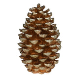 Charles Ted Gold Pinecone Ornament | Festive Decoration in Two Sizes