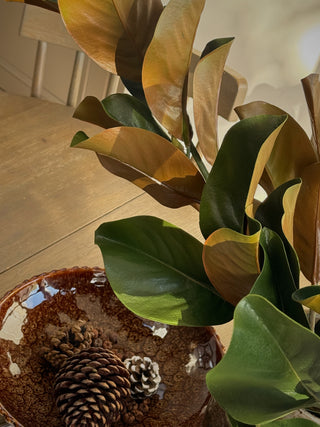 Grandiflora Magnolia Stem
