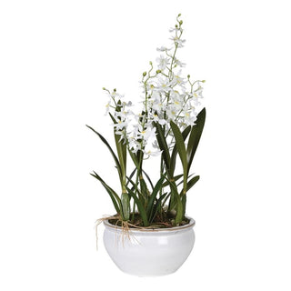 Trenwick faux Oncidium orchid in a glazed ivory ceramic pot, showing the cascading white flowering spikes, soft yellow blossom centres and strap-like green foliage at the base