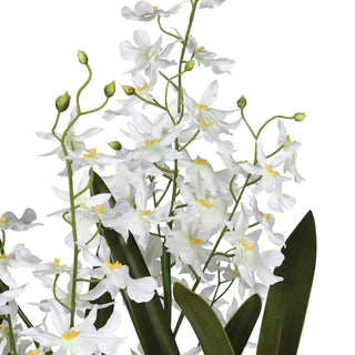 Close-up detail of the Trenwick orchid's small white Oncidium blossoms with soft yellow centres, photographed against the natural curve of a flowering spike